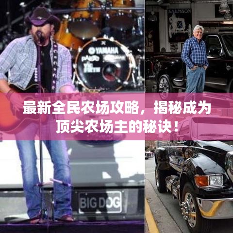 最新全民农场攻略，揭秘成为顶尖农场主的秘诀！
