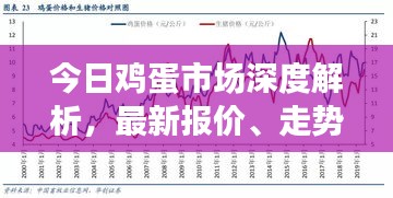 今日鸡蛋市场深度解析，最新报价、走势分析及未来预测