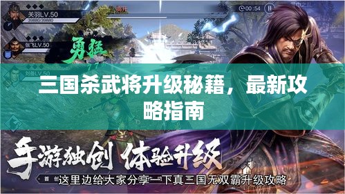 三国杀武将升级秘籍，最新攻略指南
