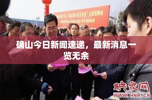 确山今日新闻速递，最新消息一览无余