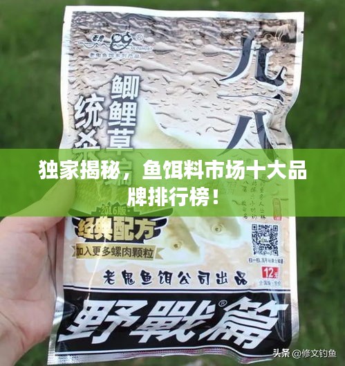 独家揭秘，鱼饵料市场十大品牌排行榜！