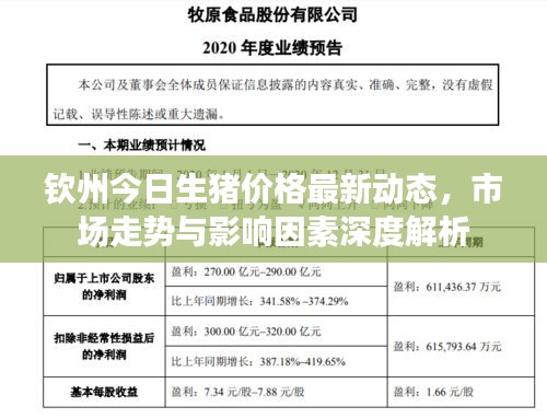 钦州今日生猪价格最新动态，市场走势与影响因素深度解析