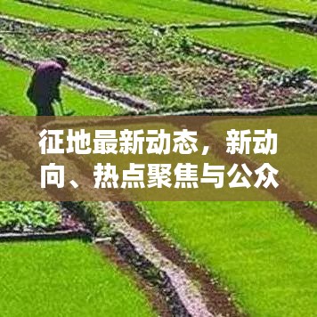 征地最新动态，新动向、热点聚焦与公众关注