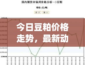 今日豆粕价格走势，最新动态及市场分析