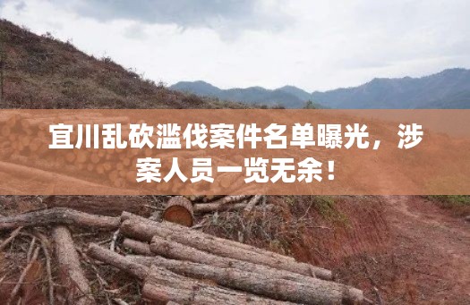 宜川乱砍滥伐案件名单曝光，涉案人员一览无余！