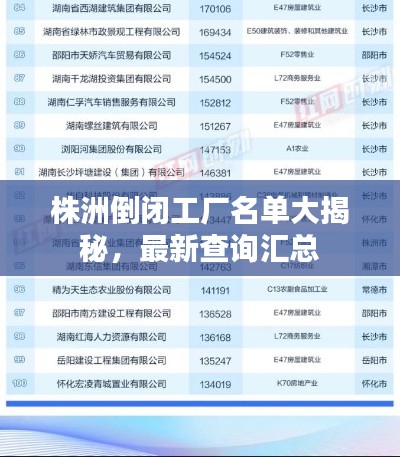 株洲倒闭工厂名单大揭秘，最新查询汇总