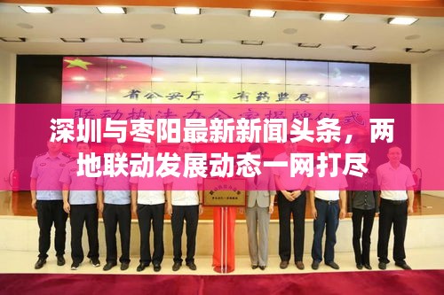 深圳与枣阳最新新闻头条，两地联动发展动态一网打尽