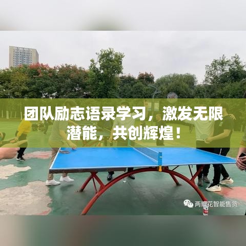 团队励志语录学习，激发无限潜能，共创辉煌！