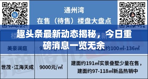 趣头条最新动态揭秘，今日重磅消息一览无余