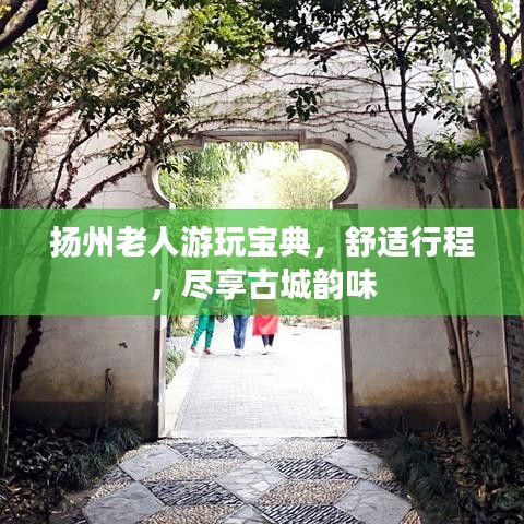 扬州老人游玩宝典，舒适行程，尽享古城韵味
