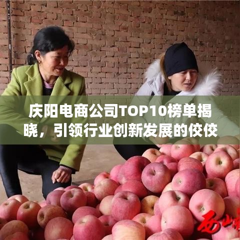 庆阳电商公司TOP10榜单揭晓，引领行业创新发展的佼佼者