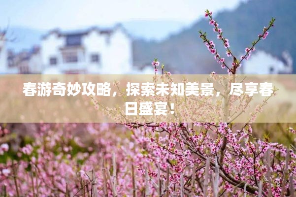 春游奇妙攻略，探索未知美景，尽享春日盛宴！