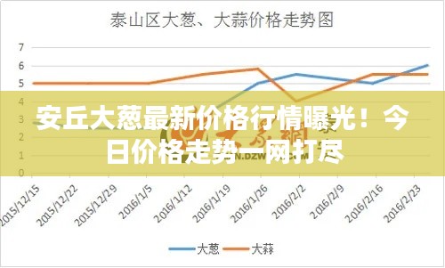 安丘大葱最新价格行情曝光！今日价格走势一网打尽