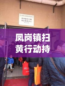 凤岗镇扫黄行动持续进行中，坚决打击不良风气，净化社会氛围