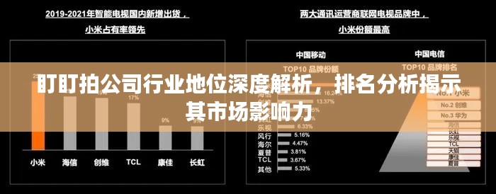 盯盯拍公司行业地位深度解析，排名分析揭示其市场影响力