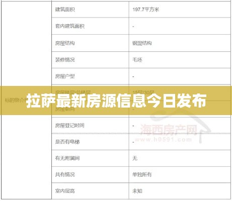 张灯挂彩