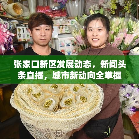 张家口新区发展动态，新闻头条直播，城市新动向全掌握