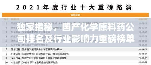 独家揭秘，国产化学原料药公司排名及行业影响力重磅榜单！
