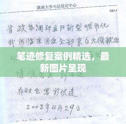 笔迹修复案例精选，最新图片呈现