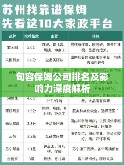 句容保姆公司排名及影响力深度解析