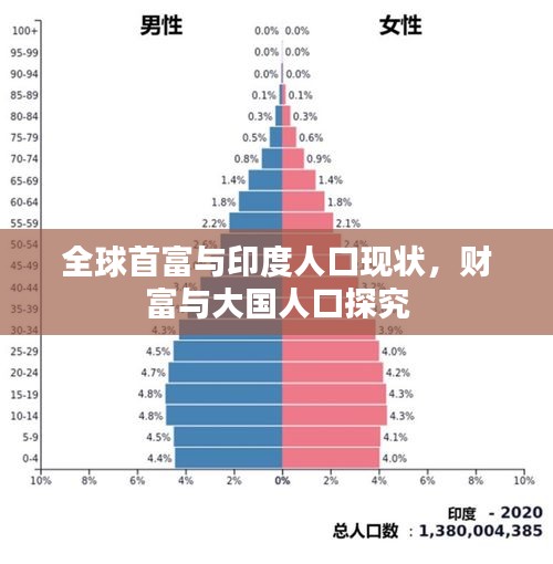全球首富与印度人口现状，财富与大国人口探究