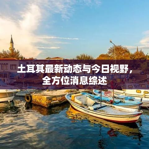 土耳其最新动态与今日视野，全方位消息综述