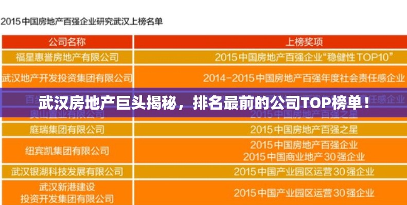 武汉房地产巨头揭秘，排名最前的公司TOP榜单！