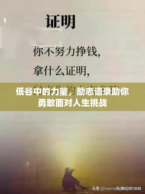 低谷中的力量，励志语录助你勇敢面对人生挑战