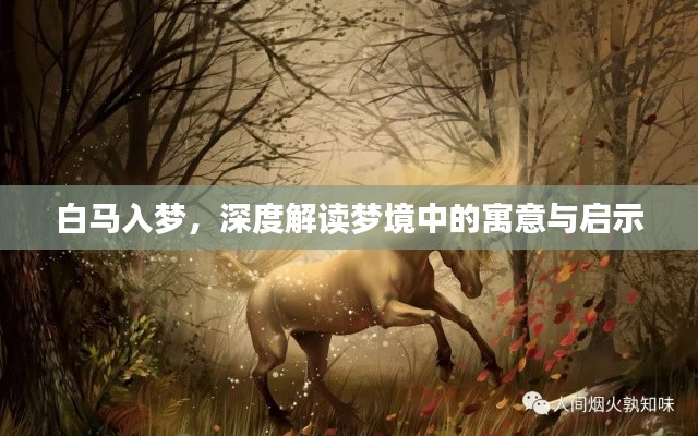 白马入梦，深度解读梦境中的寓意与启示