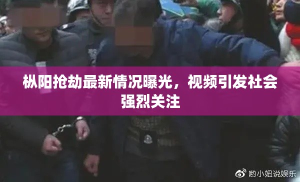 枞阳抢劫最新情况曝光，视频引发社会强烈关注