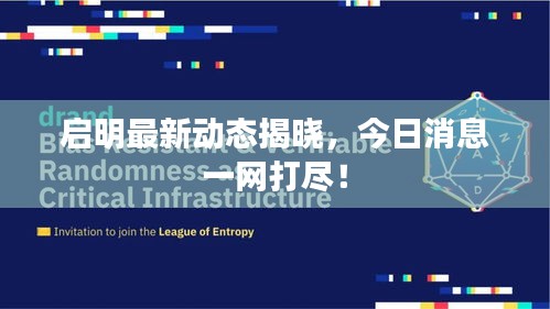 启明最新动态揭晓，今日消息一网打尽！
