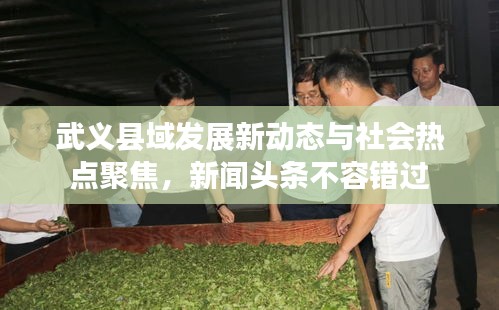 武义县域发展新动态与社会热点聚焦，新闻头条不容错过