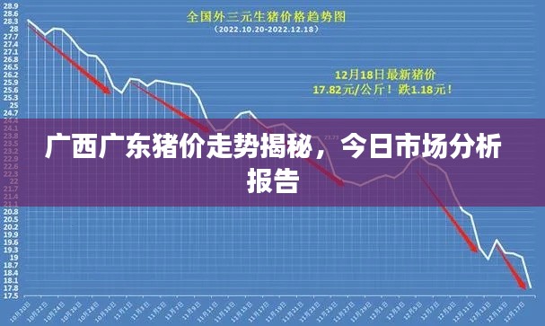 广西广东猪价走势揭秘，今日市场分析报告
