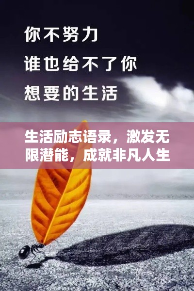 生活励志语录，激发无限潜能，成就非凡人生