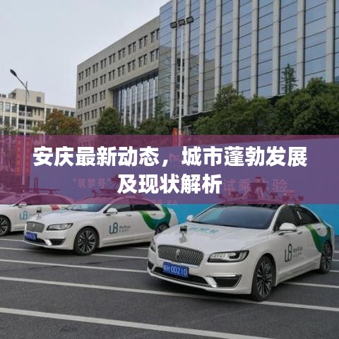 安庆最新动态，城市蓬勃发展及现状解析