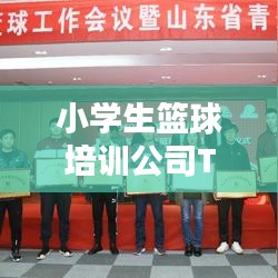 小学生篮球培训公司TOP榜，探索最佳篮球教育路径