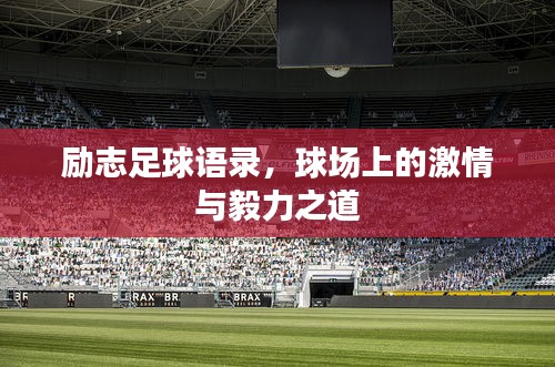 励志足球语录，球场上的激情与毅力之道