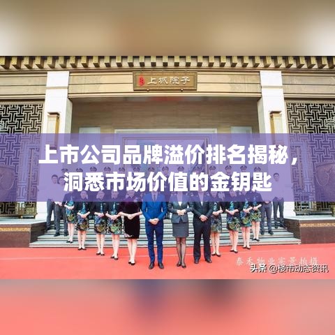 上市公司品牌溢价排名揭秘，洞悉市场价值的金钥匙