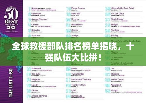 全球救援部队排名榜单揭晓，十强队伍大比拼！