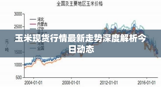 玉米现货行情最新走势深度解析今日动态