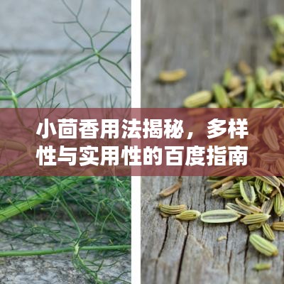 小茴香用法揭秘，多样性与实用性的百度指南