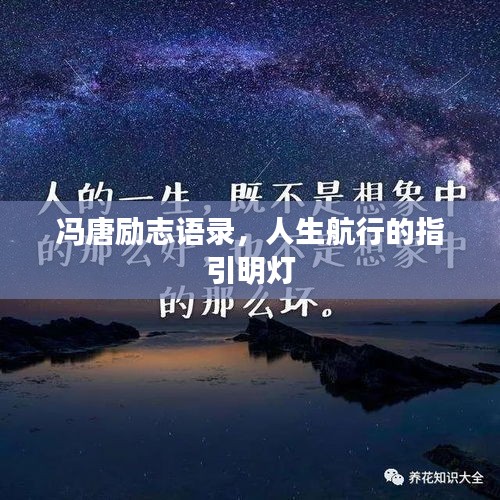 冯唐励志语录，人生航行的指引明灯