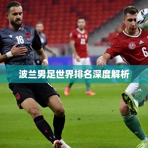 波兰男足世界排名深度解析