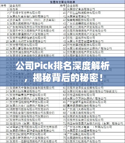公司Pick排名深度解析，揭秘背后的秘密！