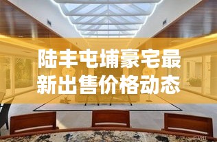 陆丰屯埔豪宅最新出售价格动态揭秘
