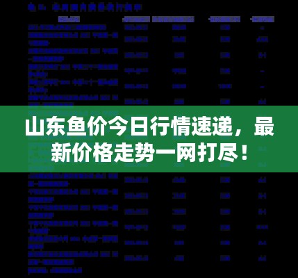 山东鱼价今日行情速递，最新价格走势一网打尽！