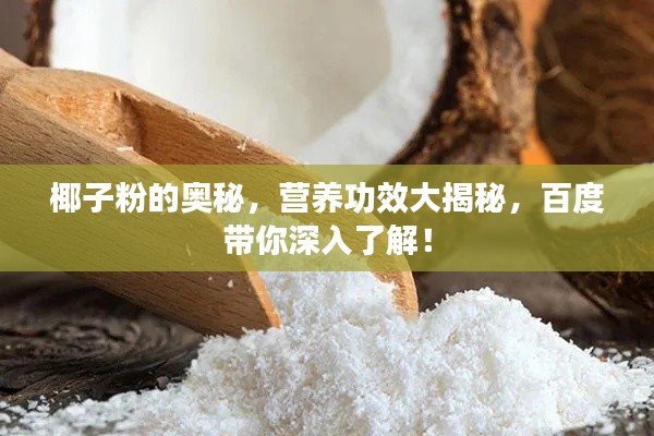 椰子粉的奥秘，营养功效大揭秘，百度带你深入了解！