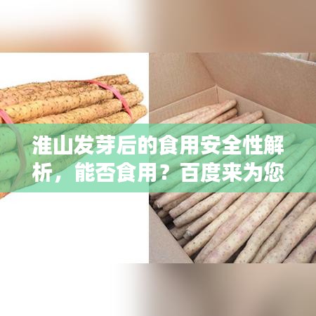 淮山发芽后的食用安全性解析，能否食用？百度来为您解答！