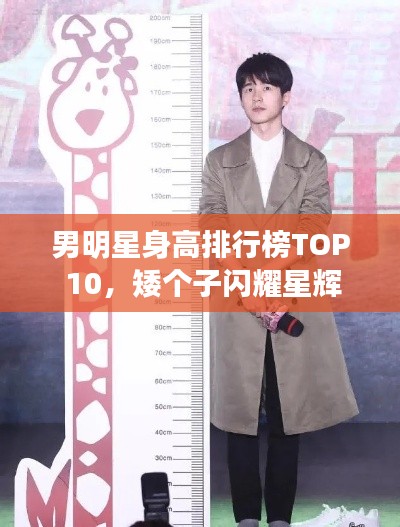 男明星身高排行榜TOP 10，矮个子闪耀星辉