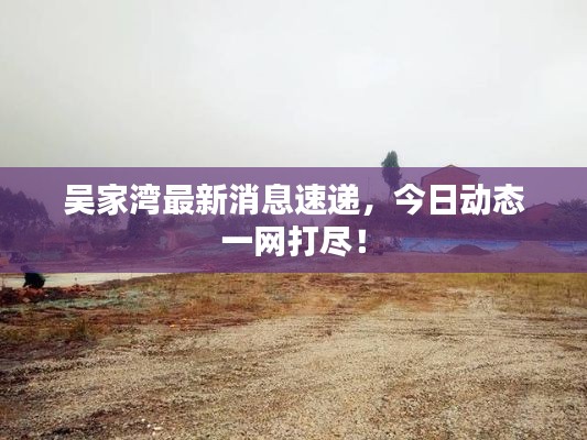 吴家湾最新消息速递，今日动态一网打尽！